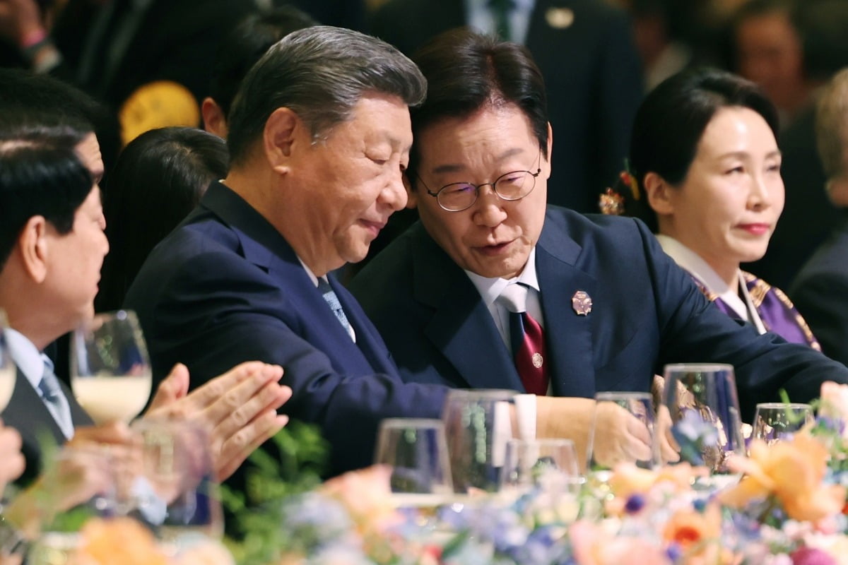 "실현불가능한 개꿈"…北, 한중정상회담 비핵화 의제에 반발