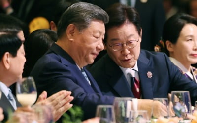 "실현불가능한 개꿈"…北, 한중정상회담 비핵화 의제에 반발