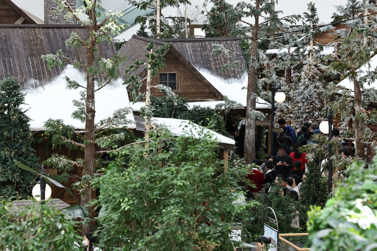 사람들 몰린 '인증샷 성지'…"벌써 크리스마스 분위기 물씬" [현장+]