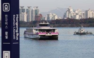 한강버스 멈춤사고에…김 총리 "심각한 우려…안정성 재점검하라"