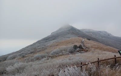광주 무등산·전남 목포, 올겨울 첫눈 내렸다…"지난해 보다 일러"