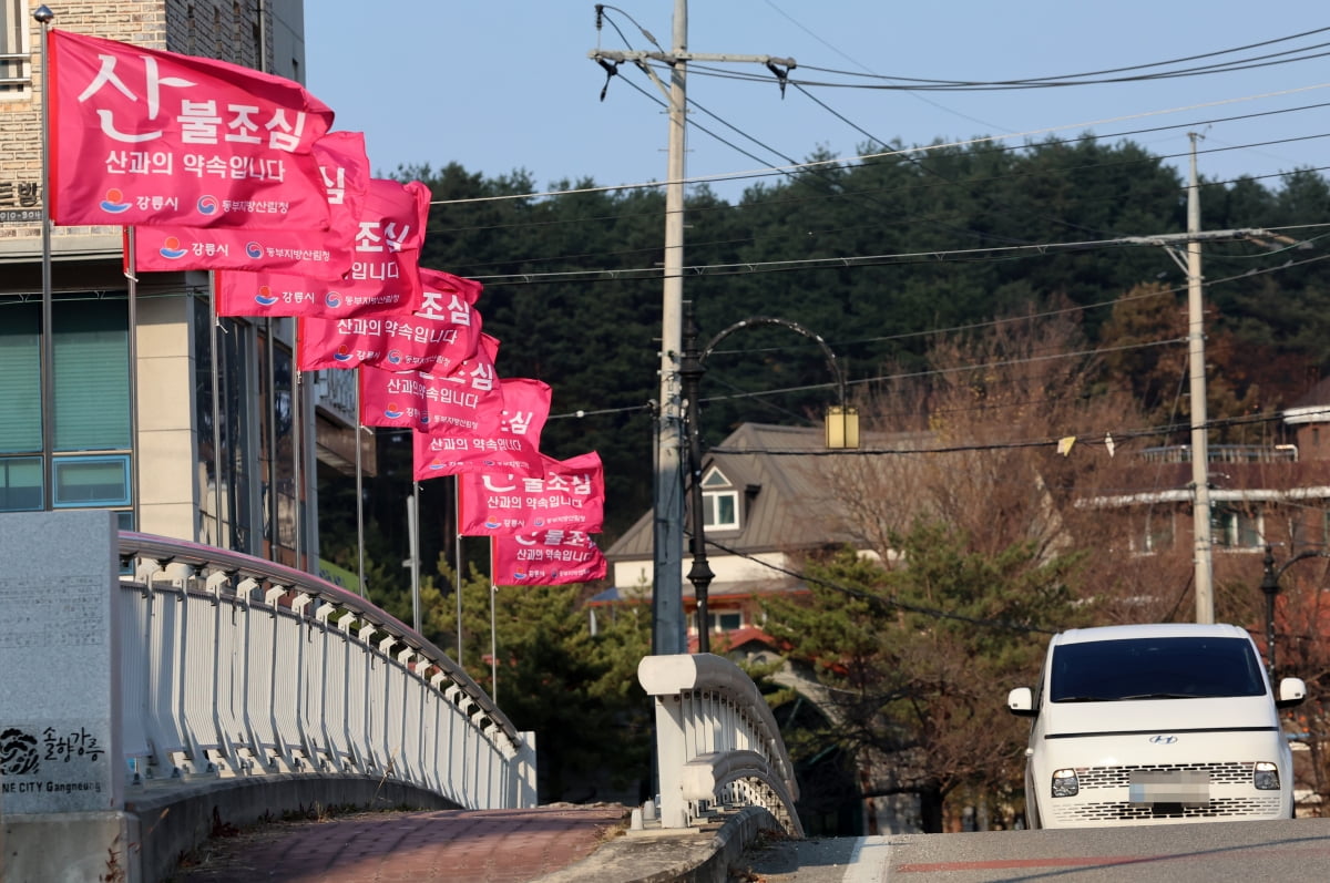 한국경제 보도 사진: 양양 산불로 인한 연기와 진화 인력