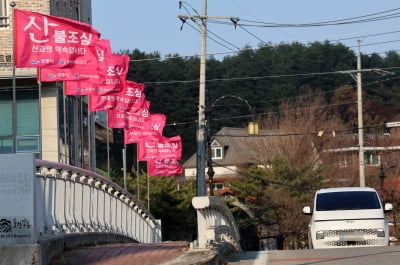 건조특보 속 양양서 산불…인근 주민 긴급 대피 권고