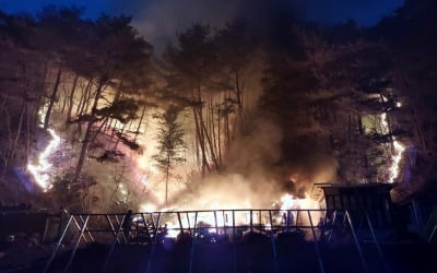 인제 기린면 산불 '대응 1단계' 진화율 41%…"날 밝으면 헬기 투입"