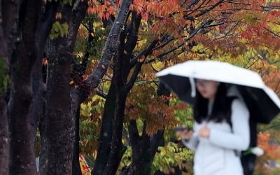 전국 흐리고 경기·부산·제주 등 비…내일 아침기온 4∼8도↓