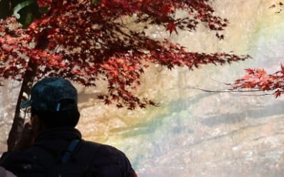 아침 쌀쌀 낮엔 포근…내륙은 15도 안팎 일교차