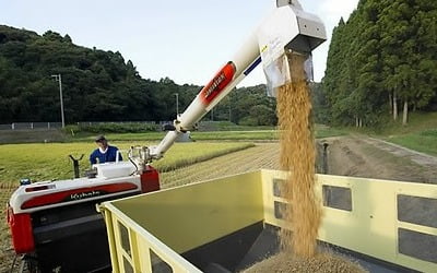 日쌀값 또 급등…6개월만에 최고치 경신