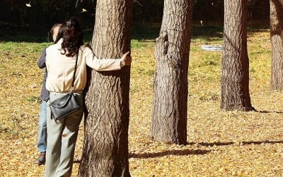 '낮 최고 21도' 포근한 가을…오후부터 중부·전북에 가끔 비