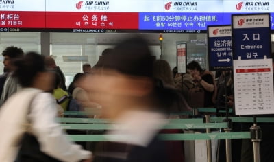 "밤도깨비 여행 성지 되겠네"…한국인들 몰리더니 '잭팟'