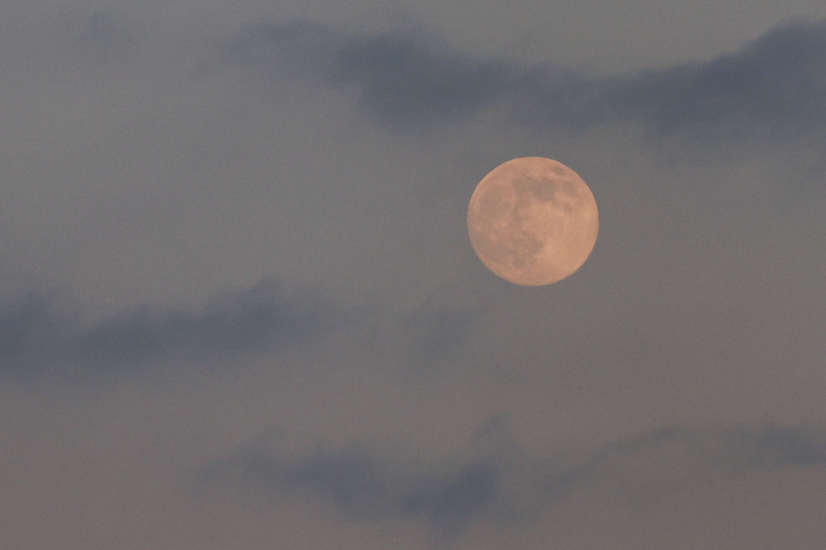 [포토] 올해 마지막 보름달