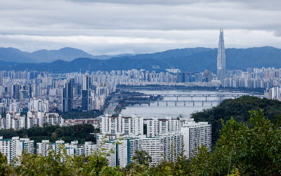 19억5000만원 청담동 아파트, 9년 만에 팔린 가격이… [데이터로 보는 부동산]