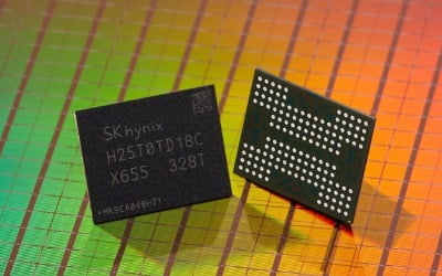 [단독] SK하이닉스, 내년 300단대 'V10 낸드' 낸다 [강해령의 테크앤더시티]