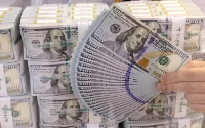 "환율 붕괴 5적이라니"…'낙인 찍기'에 분노한 기업들