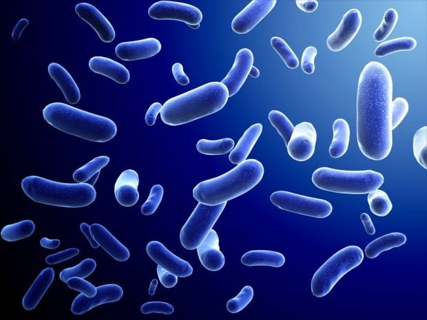 올해 '역대 최다' 감염된 슈퍼세균 뭐길래…치사율도 높아 '비상'