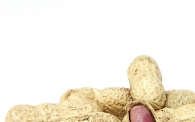 하루 두 줌의 '이 것' 4개월 섭취한 노인들, 기억력 좋아졌다