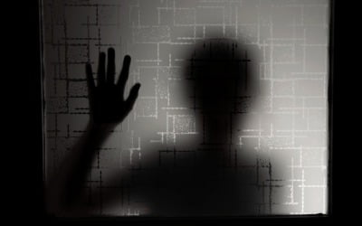 '아내 상습 폭행' 프로 야구선수 출신 조폭 BJ, 징역 6년 구형