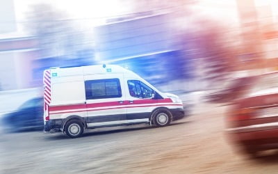 "출퇴근에 이용하고, 연예인 싣고"…정부, 결국 칼 빼들었다