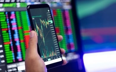 천장 뚫더니 바로 하한가 나락…'폭탄 돌리기'에 비명 터졌다