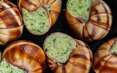 한밤중에 실험실까지 '싹쓸이'…대목 앞둔 농장주 '날벼락'