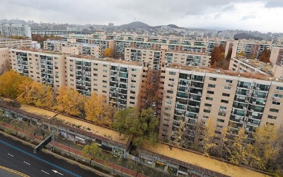 이름 안 바꾸길 잘했네…"우리 아파트가 대한민국 최고 부촌"
