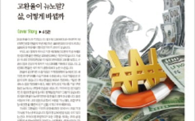 뉴노멀이 된 고환율 시대