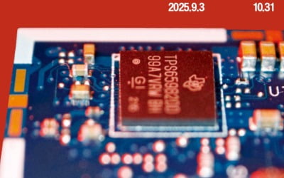 美 마벨, 주문형 반도체·실리콘 포토닉스로 '양날개'