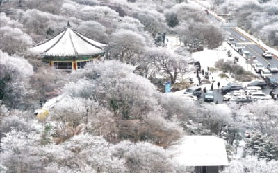 [포토] "황홀한 설경"…눈꽃 핀 한라산 1100고지