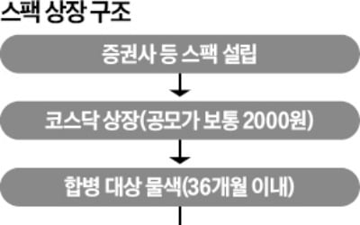 90%가 개인 매매 … 스팩 '폭탄 돌리기'