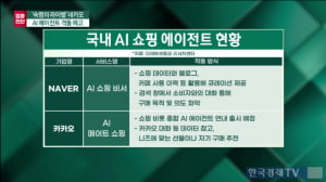 "AI 쇼핑 비서 내년에 본격화"…네카오, 서비스 대결 승자는?
