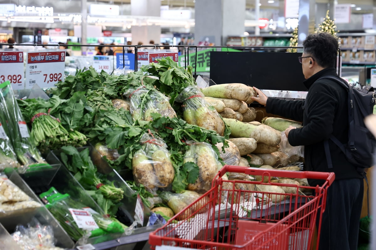 서울의 한 대형마트 김장 관련 진열대. 2025.11.10 사진=연합뉴스