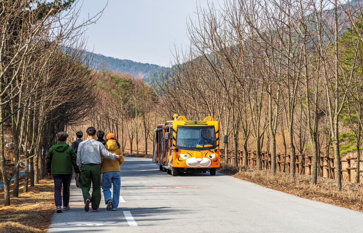 봉화에서 마음 먼지, 안녕