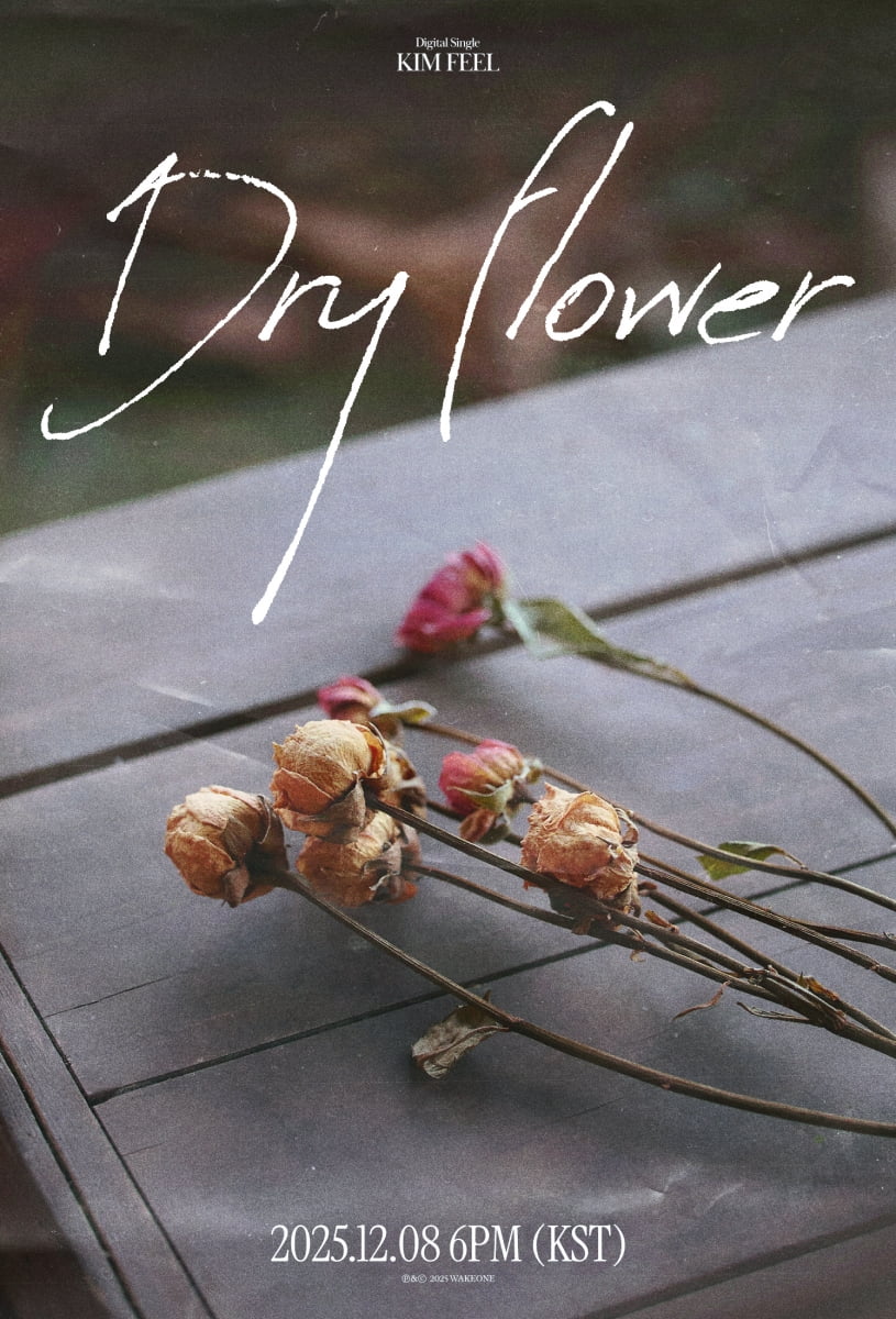 Kim Feel Announces New Single 'Dry Flower' and Year-End Concert