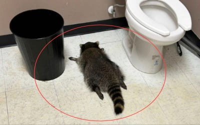 술병 깨지고 아수라장…만취해 대자로 뻗은 '범인' 정체는