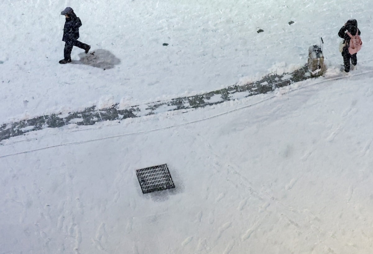 서울 종로구에서 캐리어를 들고 이동하는 한 관광객 / 사진=연합뉴스