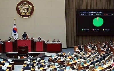 지역의사법 국회 통과…의대학비 지원받고 10년 지방근무 의무화