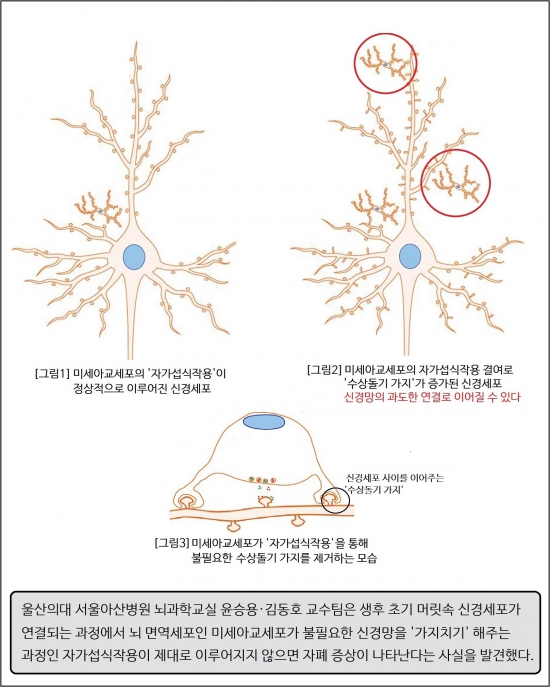 그림설명.jpg