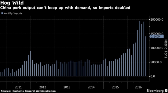 중국 돼지고기 월별 수입량