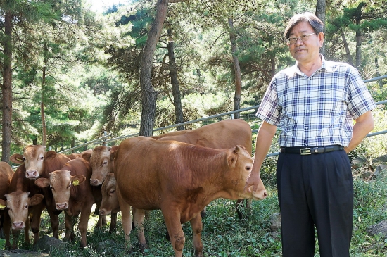 [한경·네이버 FARM] 1200만원짜리 유기농한우 처음 키워낸 산청 농부 "동물복지 한우 1호 도전합니다"