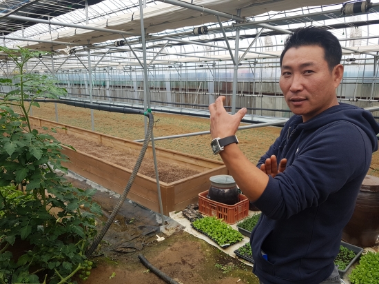 [한경·네이버 FARM] 서울 농부… 강동구 23년차 채소농부 최재일 대표의 로컬푸드 스토리