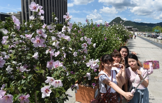 광화문 광장 '나라꽃 무궁화 전국 축제' 개막