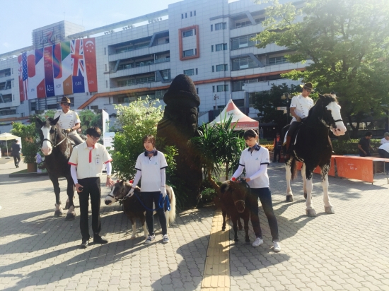 한국마사회, 20일부터 '제주애(愛)잇다' 축제 개최