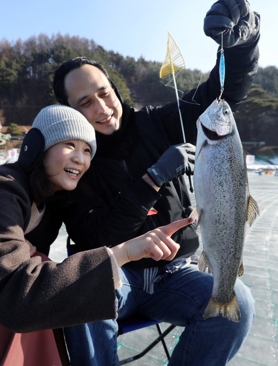 평창군, 제12회 평창 송어축제