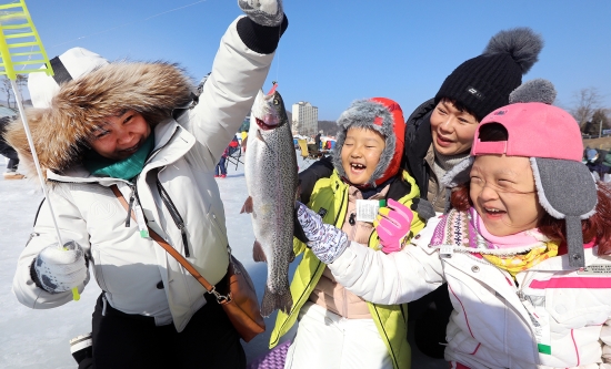 평창송어축제, 얼음낚시로 잡아올린 송어