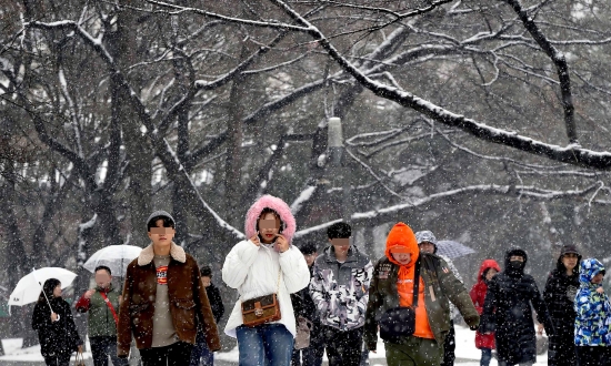 절기상 우수이자 정월대보름인 19일 오전 서울 중구 덕수궁을 찾은 외국인관광객들이 눈을 맞으며 걷고 있다./김범준기자 bjk07@hankyung.com