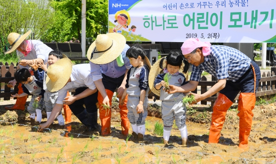 농협유통 도심 속 어린이 모내기 체험