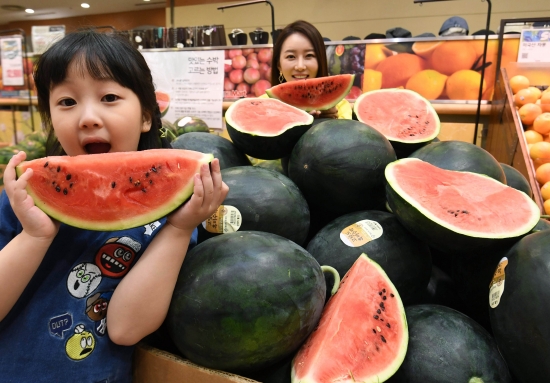 모델들이 6일 롯데마트 서울역점에서 껍질이 까만 '흑미수박'을 선보이고 있다. 신경훈 기자 khshin@hankyung.com